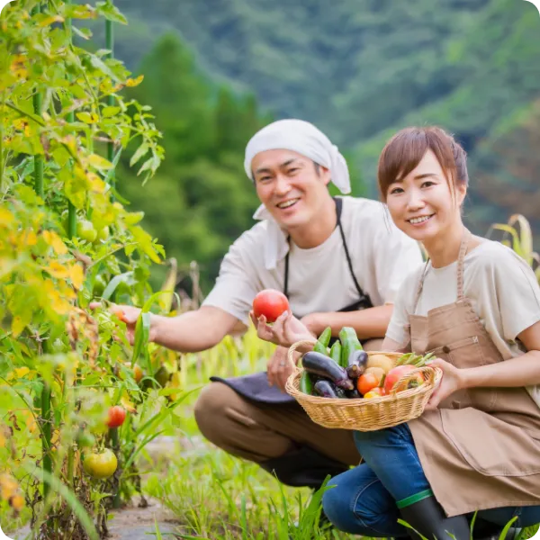 畑で作物を収穫する農家の男女