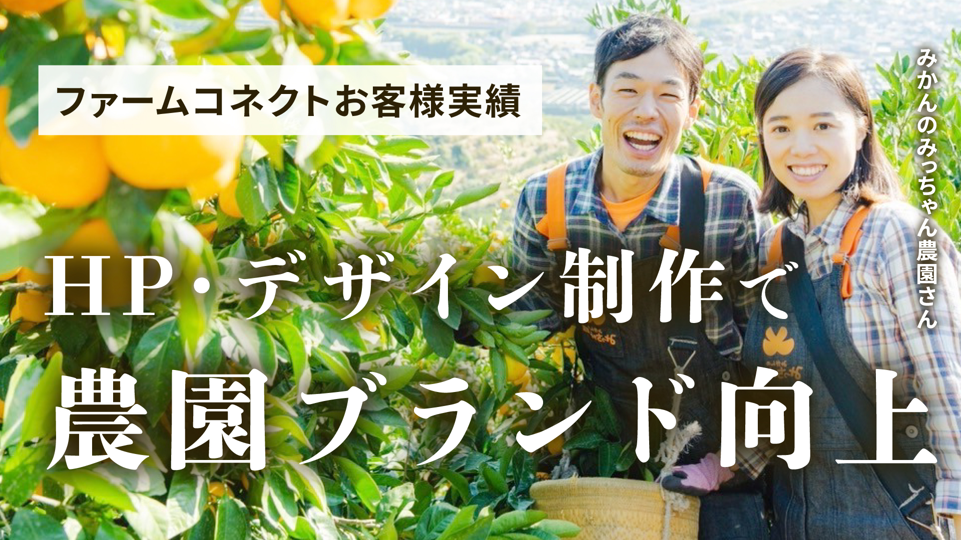 農業ビジネスで成功している農家さんの事例その3：みかんのみっちゃん農園株式会社さま